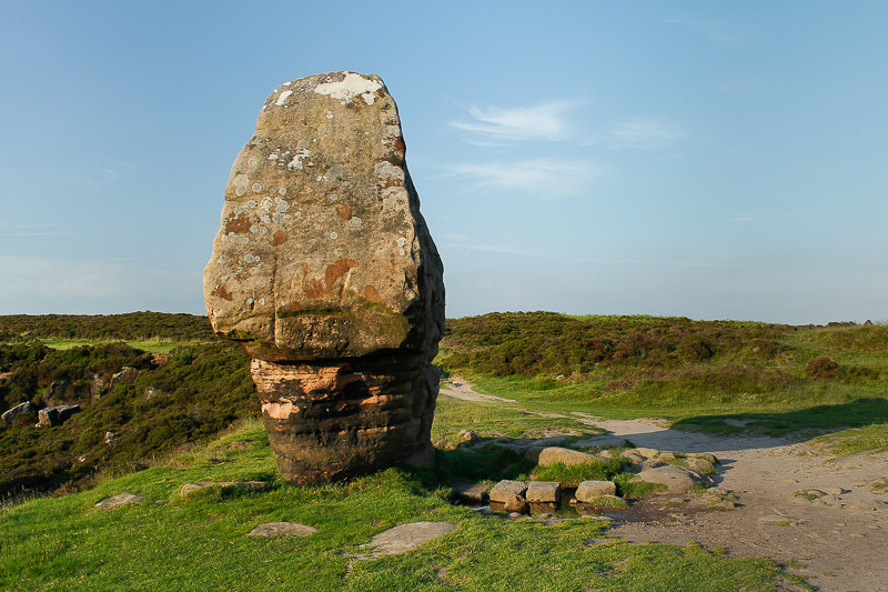 Cork Stone